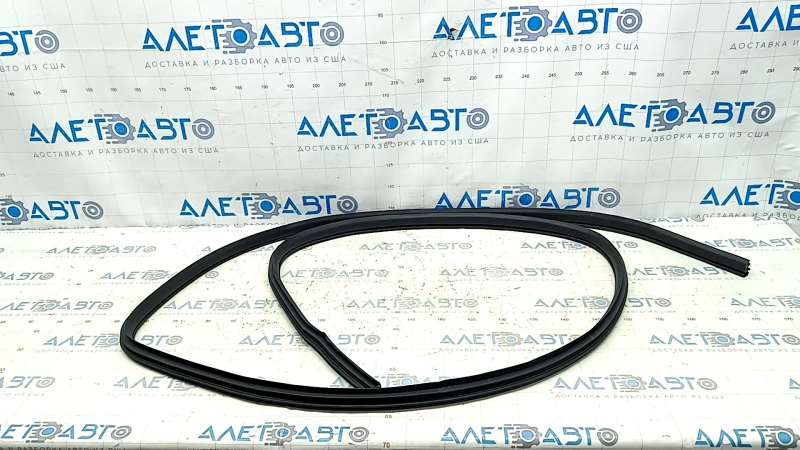 Front right door seal for Nissan Rogue 21-24 US built