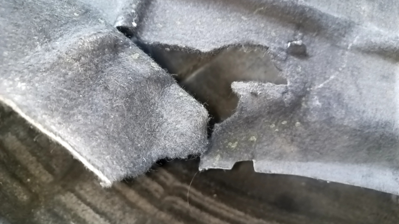 The rear left fender liner of a VW Beetle 12-19 is torn, the fastener is torn, the seam is torn, a fragment is missing