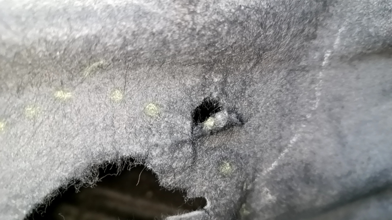 The rear left fender liner of a VW Beetle 12-19 is torn, the fastener is torn, the seam is torn, a fragment is missing