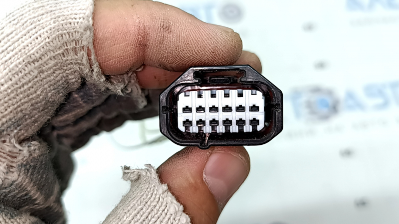 A wiring harness for the front bumper of a 19-25 Toyota Rav4, without parking sensors or fog lights.