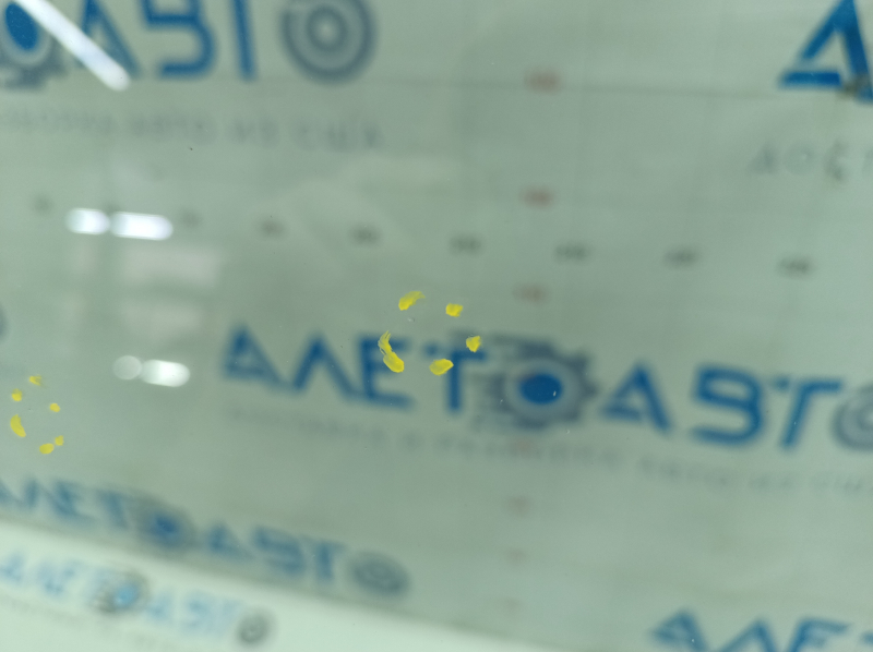 Toyota Rav4 22-25 windshield without heating, AWD, USA built, with camera, with heated camera, chips, sand, air along the edge