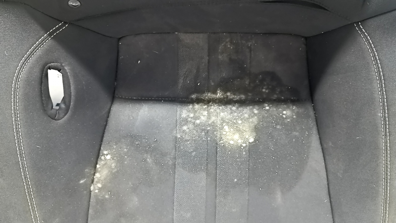 Ford Mustang mk6 15-23 coupe rear seat cushion, black fabric, wrinkled, needs cleaning