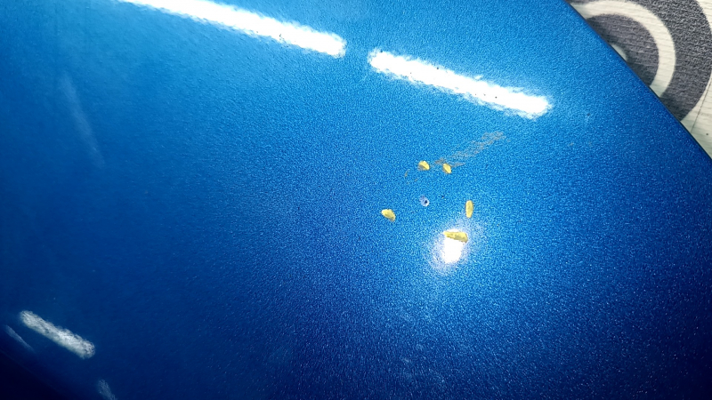 The bare hood of a Hyundai Tucson 16-21 blue R2U, steel, paint chips, bump