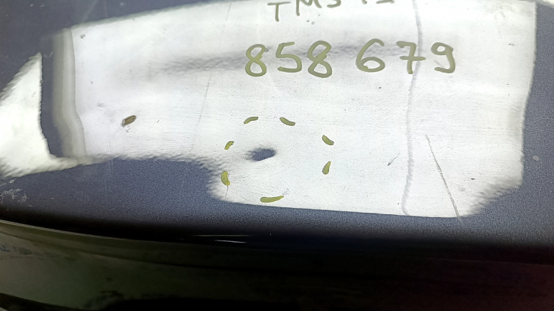 Tesla Model 3 bare trunk lid, 18-20 PMNG graphite, paint chip, dents, and dents