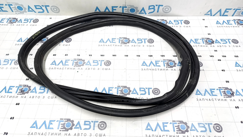 Front right door seal BMW X1 F48 16-22, tears