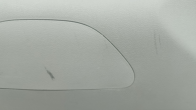 Chrysler Pacifica 17-24 lower tailgate trim without speakers, gray, with trim, scuffs, needs cleaning