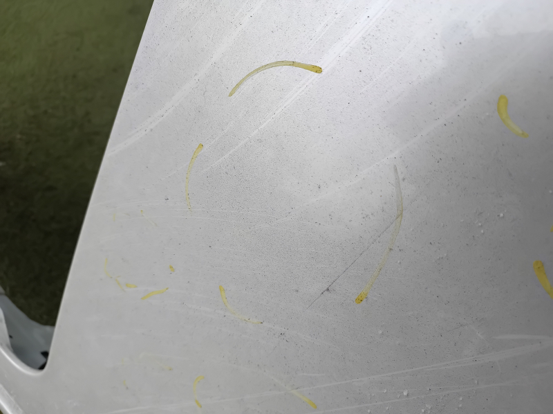 Metal roof Lexus IS250 IS300 IS350 06-13 under hatch, on body, hail, dented