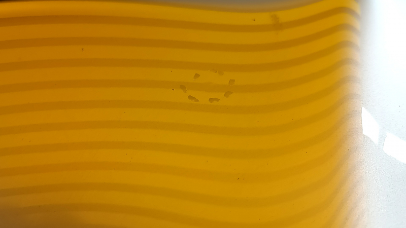 Infiniti QX50 19-25 aluminum hood, black G41, butt