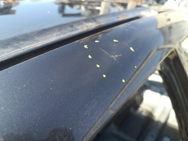 Metal roof for a 17 Honda Accord, under the sunroof, on the body, dented