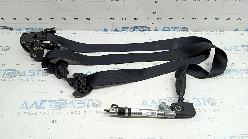 Driver's seat belt with tensioner and squib VW Jetta 19-26 black, shot
