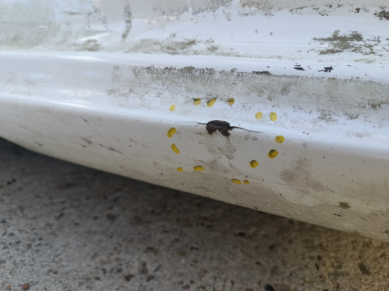 Front right quarter panel of a Kia Niro 23-26 HEV, PHEV on the body, white, dented