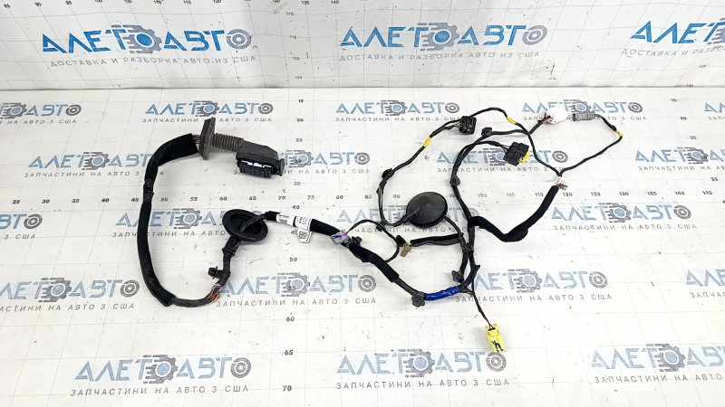Hyundai Santa FE 19-23 Keyless Front Right Door Wiring