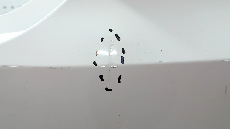 Bare rear bumper Toyota Camry v70 18-24 L/LE/XLE without parking sensors, white, torn, scratches, missing fragments, dented