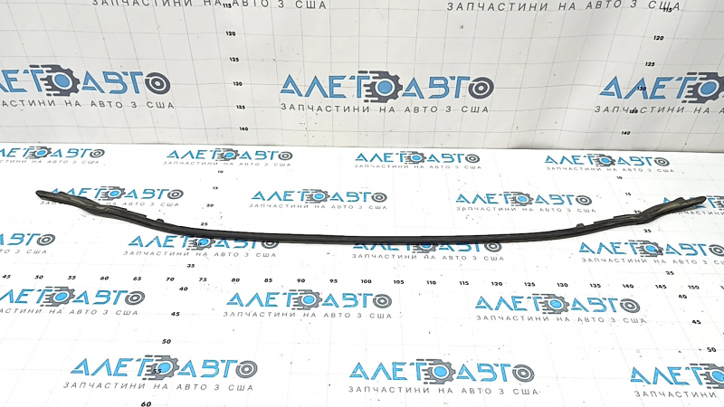 Lexus ES250 ES300h ES350 hood seal 19- on bumper