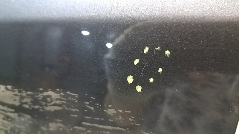 Tesla Model 3 18-20 PMNG graphite bare front left door, scratch, paint chip