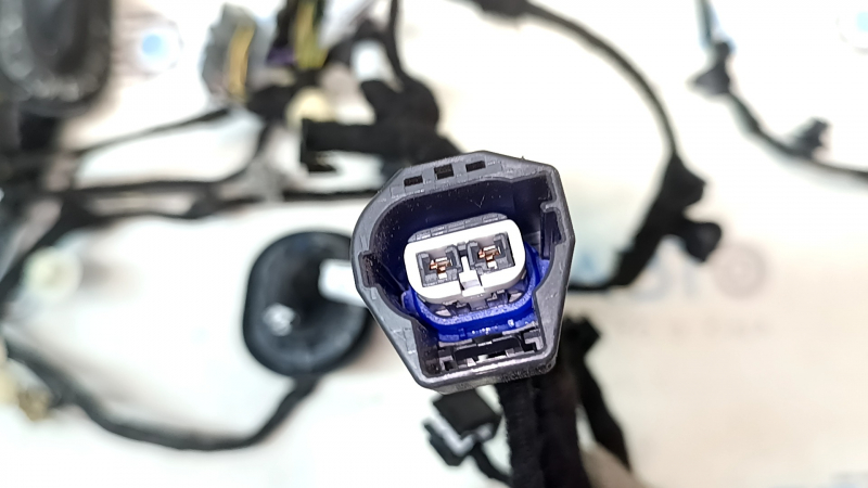 Ford Escape MK4 20- front right door wiring