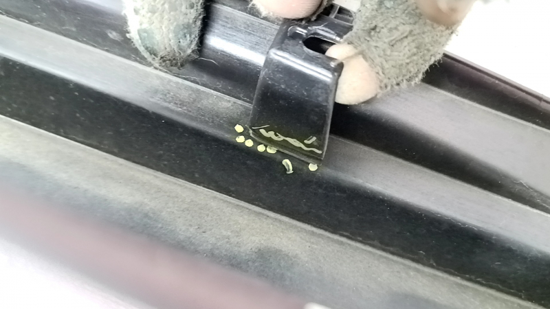 Right threshold Lexus ES 19-26 red, broken fasteners, scratches