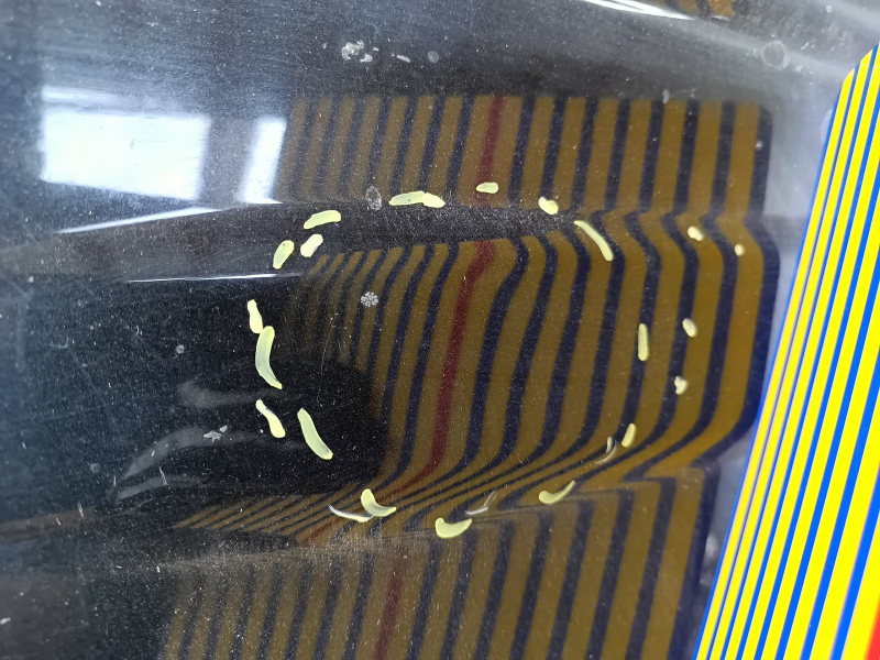 Metal roof of Toyota Rav4 16-18 under the sunroof, sawed off, dents, bumps