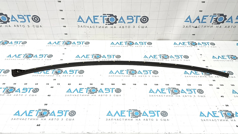 BMW 5 G30 17-23 front right door seal lower