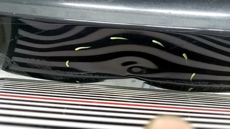 The trunk door is bare, lower part of the BMW X7 G07 19-26 black 475, dented, corrosion