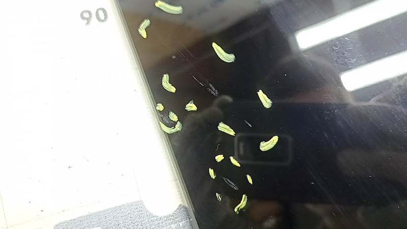 Rear glass of the tailgate of Chevrolet Equinox EV 24-26 with heating, scratches