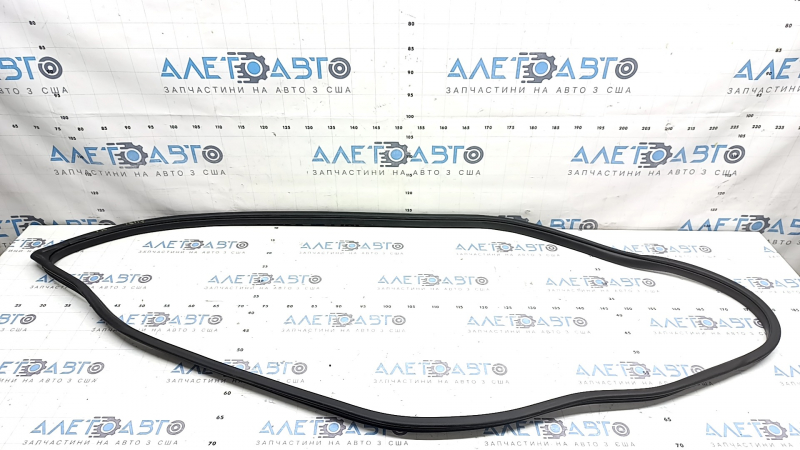 Door seal front right Hyundai Ioniq 17-22