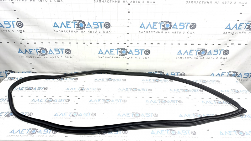 Door seal front right Hyundai Ioniq 17-22