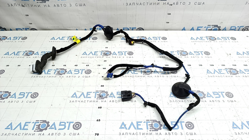 Wiring for the rear right door of the Hyundai Ioniq 17-22