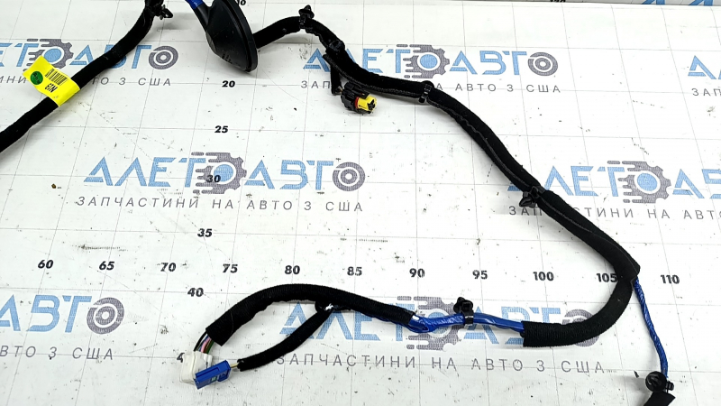 Wiring for the rear right door of the Hyundai Ioniq 17-22