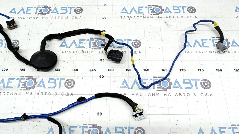 Wiring for the front right door of the Hyundai Ioniq 17-22 keyless