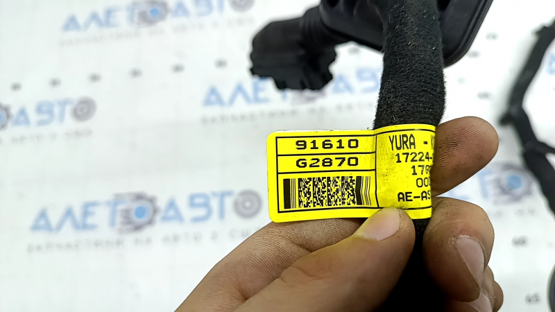 Wiring for the front right door of the Hyundai Ioniq 17-22 keyless