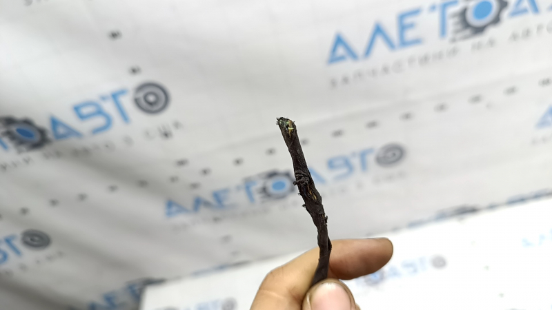 Wiring for the rear bumper of a BMW 3 G20 19-22 for parking sensors, the left part of the wiring is cut off