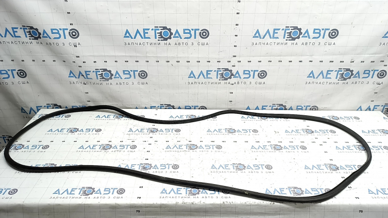 Rear left door seal BMW X3 F25 11-17