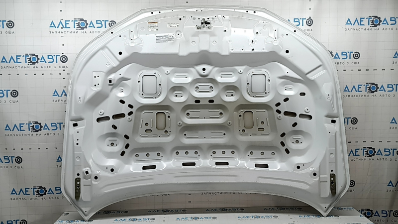 Bare hood Honda Accord 23-26 aluminum, white NH-883P