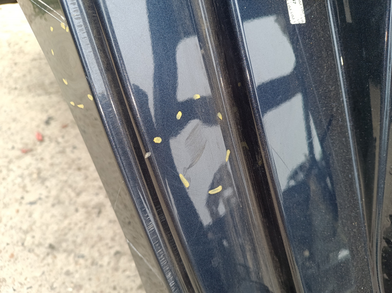 Quarter wing rear right Honda Insight 19-21 blue, on the body, dents, bump