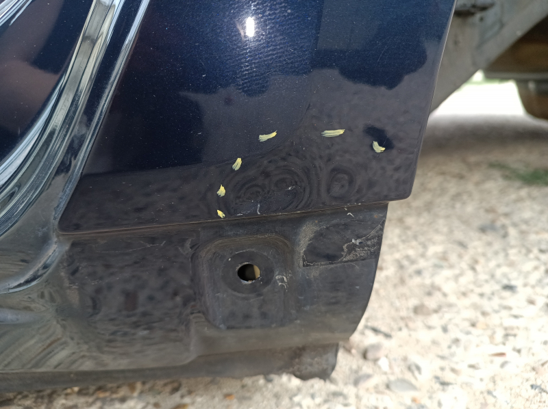 Quarter wing rear left Audi A6 C8 19-25 on the body, blue, pokes