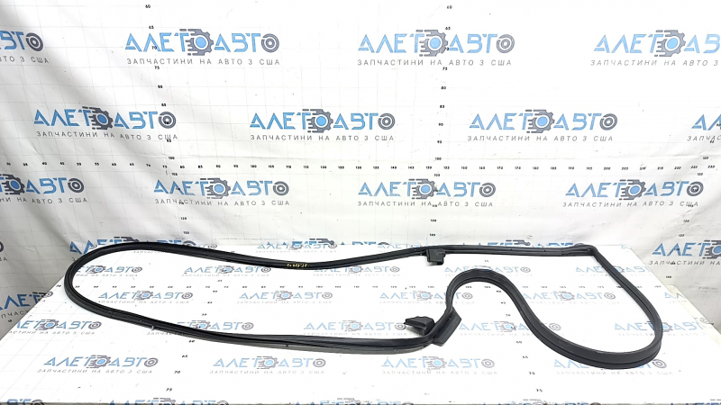 Front left door seal Nissan Murano 25-26