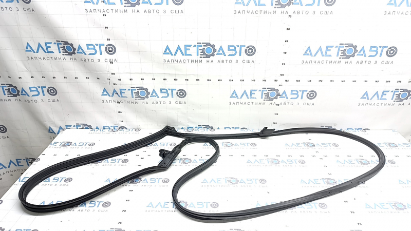 Front left door seal Nissan Murano 25-26