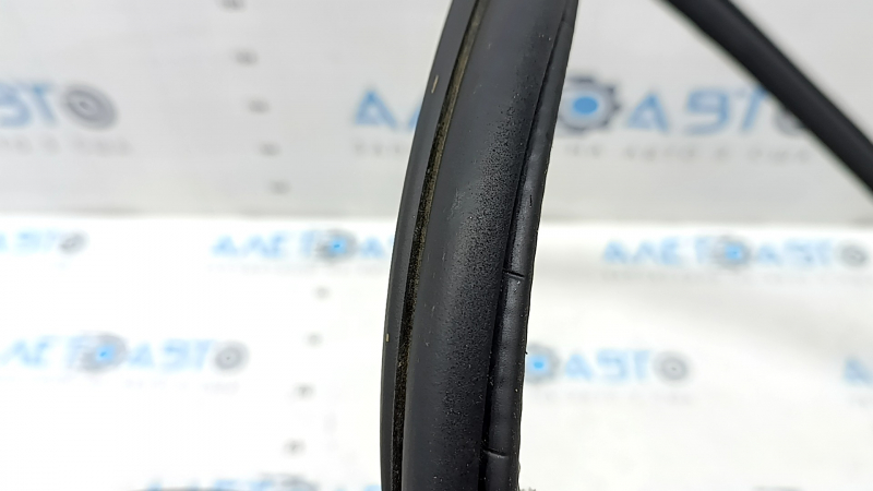 Front left door seal Porsche Macan 15-25 worn