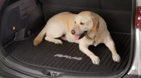 Black fabric trunk mat for Toyota Rav4 16-18 hybrid