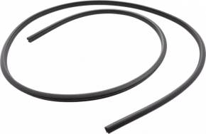 Door seal front left Nissan Maxima A36 16-
