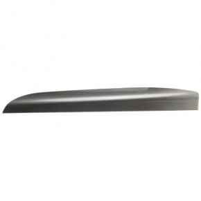 Ford Edge 19 Front Panel Molding - Dark Gray, Chrome Defect