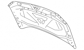 Naked hood VW Taos 22-25