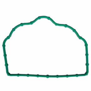 Ford F-150 15-17 5.0 Intake Manifold Gasket