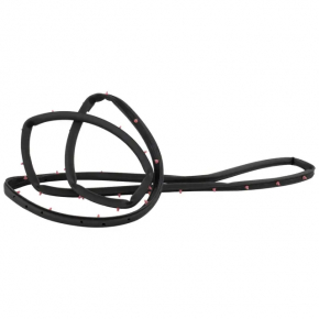 Ford Edge 15-24 rear right door seal