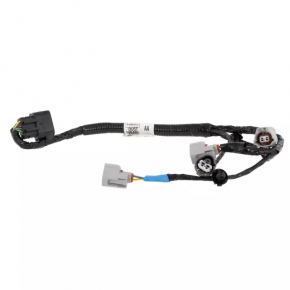 Fuel Rail Wiring Ford Ecosport 18-22 2.0