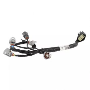 Fuel Rail Wiring Ford Ecosport 18-22 2.0