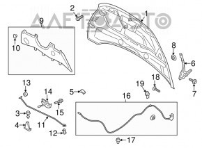 Naked hood Ford C-max MK2 13-18 steel, black G1, dents
