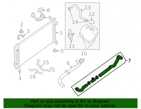 Cooling pipe lower Nissan Maxima A36 16-23