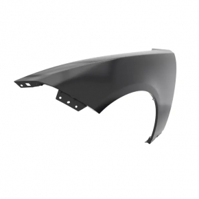 Front left wing Dodge Charger 15-20 rest